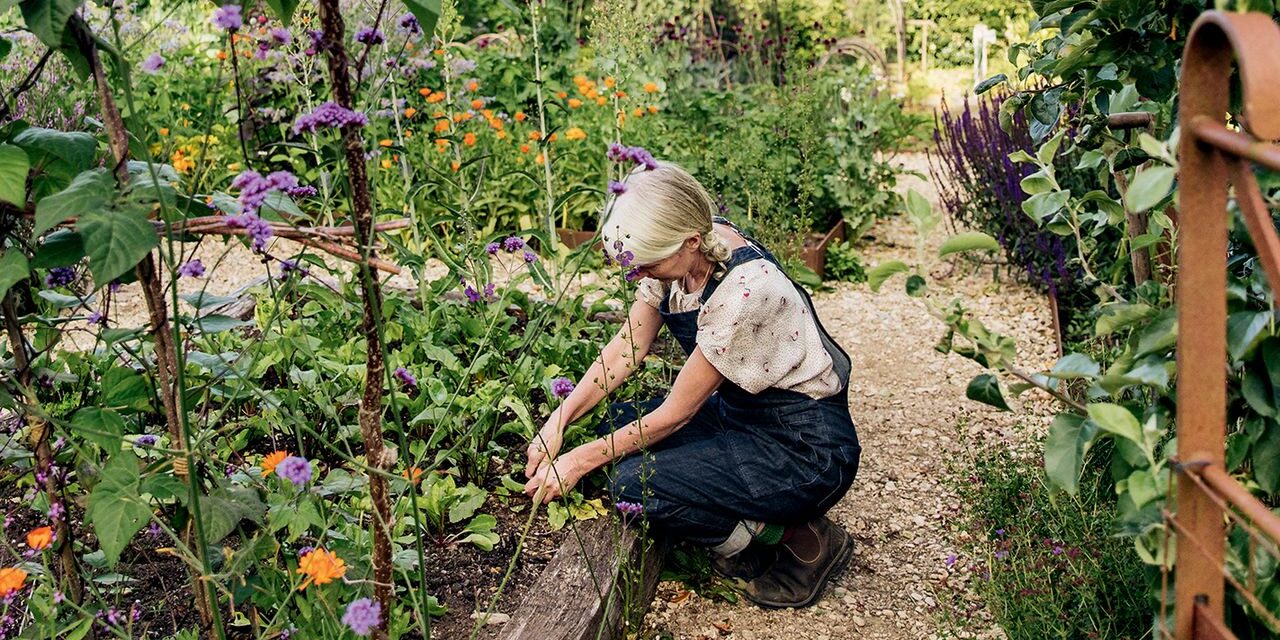 Les 15 aliments les plus faciles à faire grandir à la maison | Maison et jardin