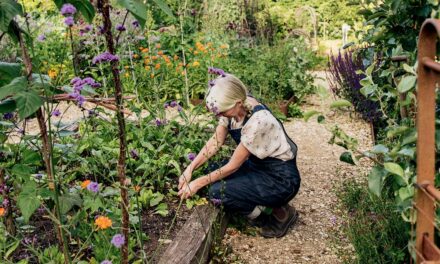 Les 15 aliments les plus faciles à faire grandir à la maison | Maison et jardin