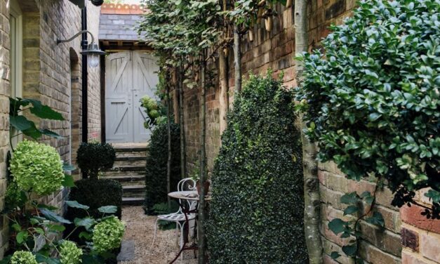 Ce détaillant de rue est notre nouveau magasin One Stop pour un espace extérieur élégant