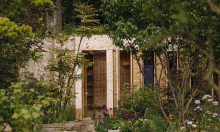 Médailles de Chelsea Flower Show 2025: The Full Winners List