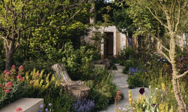 Que voir au Chelsea Flower Show 2025, selon notre éditeur de jardin