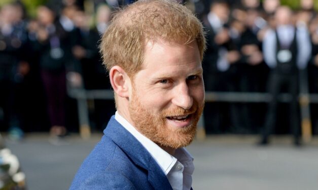 Le prince Harry quitte la charité «  gobsmackée  » après un mouvement inattendu