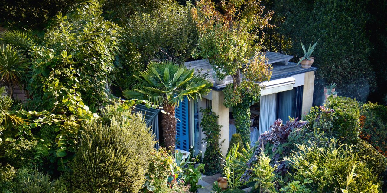 Un jardin de Clapham où chaque pouce est rempli de plantation luxuriante