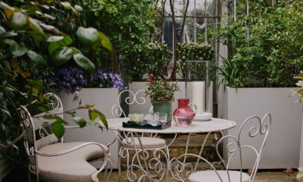 Shade Gardens: Tout ce dont vous avez besoin pour planter dans des espaces couverts