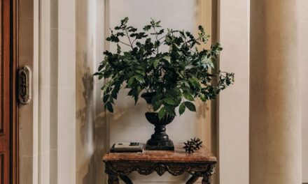 Les intérieurs tendances que ceux qui auvent se retirent tranquillement