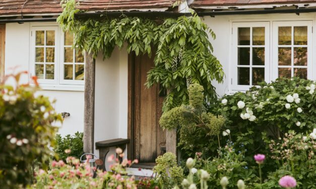 17 petites idées de jardin intelligentes pour chaque budget