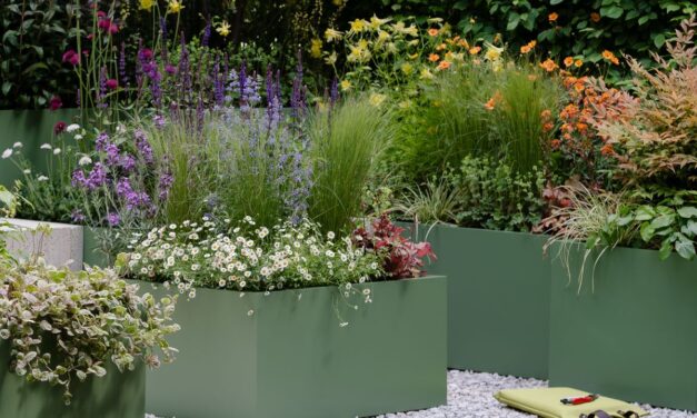 Les idées à voler pour votre jardin au Chelsea Flower Show
