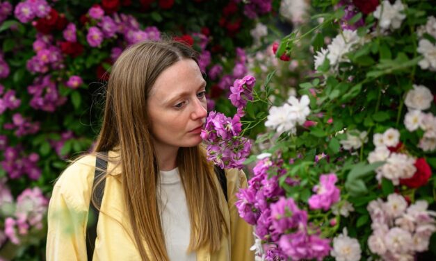 Tiktok a approuvé les tendances de Chelsea Flower Show pour réinventer votre jardin