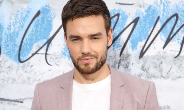 Liam Payne apparaîtra toujours sur «  Building the Band  » de Netflix