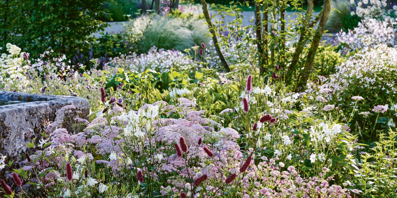 Un schéma de frontières de jardin romantique pour le début de l&rsquo;été en utilisant seulement cinq plantes
