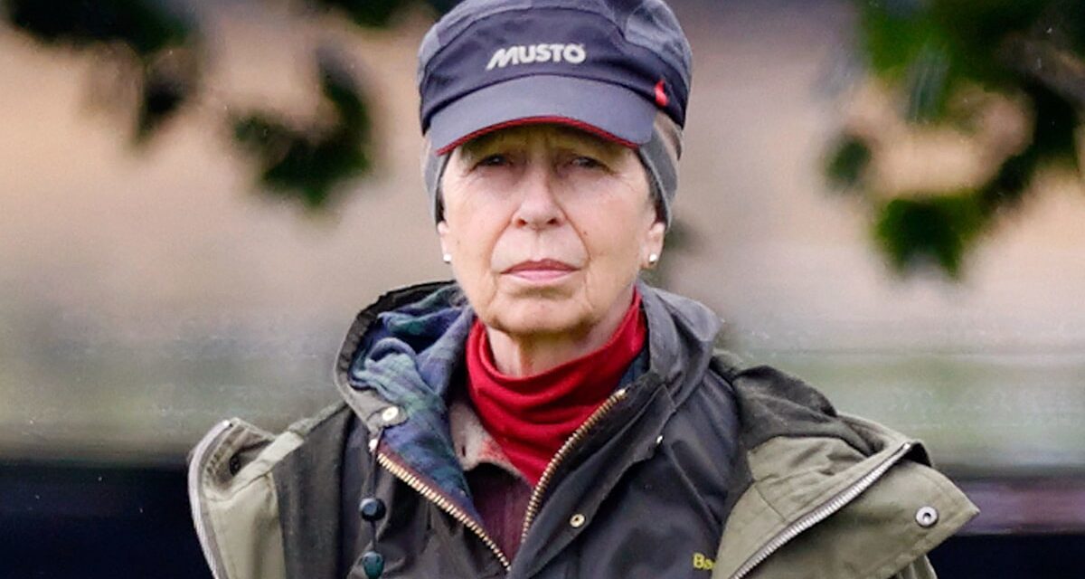 «  Balance délicat  » de la princesse Anne qui pourrait prouver un «défi» à la maison