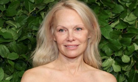 La maison côtière rénovée de sept acres de Pamela Anderson à Vancouver semble qu&rsquo;il appartient à un livre d&rsquo;images