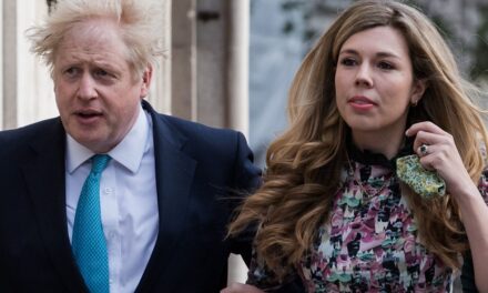 Carrie Johnson organise la fête de la piscine d&rsquo;anniversaire de son fils Frank à 3,8 millions de livres sterling Manor après les préoccupations