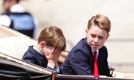 Prince George obligé de corriger le frère Prince Louis