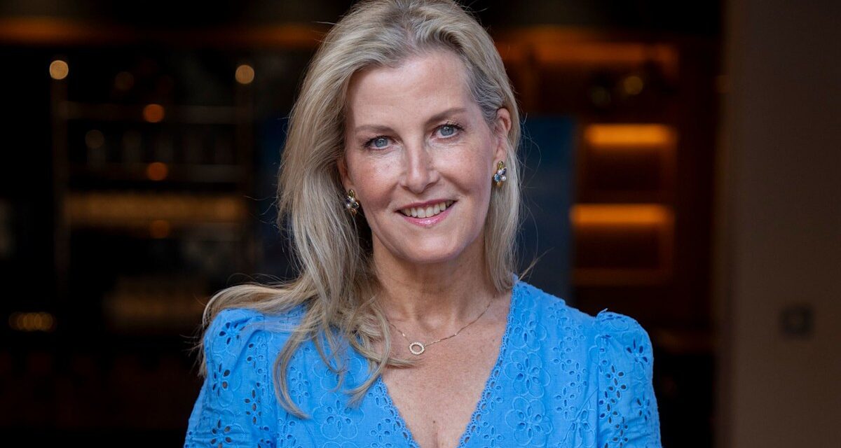 La duchesse Sophie a un «moment Cendrillon» tout en rencontrant le roi Charles au Windsor Flower Show