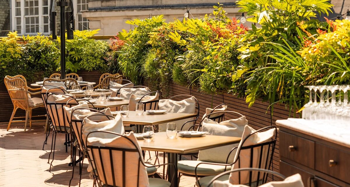 Ce restaurant turc vibrant abrite la terrasse sur le toit la plus chic de Londres