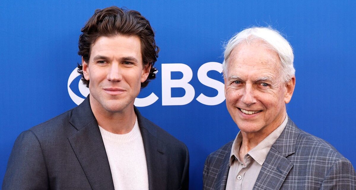 NCIS: Austin Stowell d&rsquo;Origins révèle pourquoi il ne sera jamais «à l&rsquo;aise» jouer le personnage bien-aimé de Mark Harmon