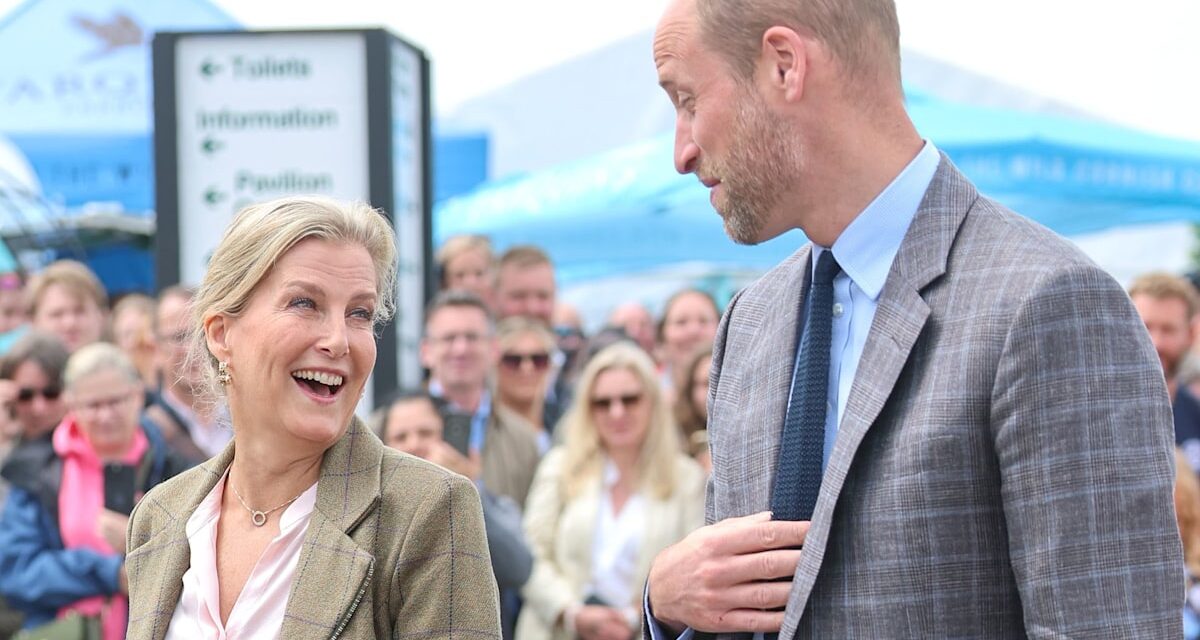 Le lien royal croissant du prince William et de la Duchesse Sophie exposés lors d&rsquo;une équipe rare