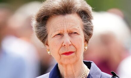 La princesse Anne sport les cheveux de la taille de la taille dans la photoshoot familial à la maison avec ex