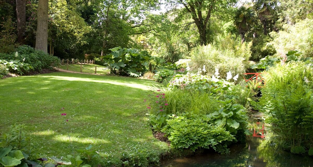 Le véritable coût d&rsquo;un jardin orienté au sud – et pourquoi plus de 50