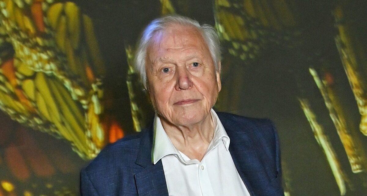 David Attenborough fait des aveux sur son « refuge » partagé à Londres