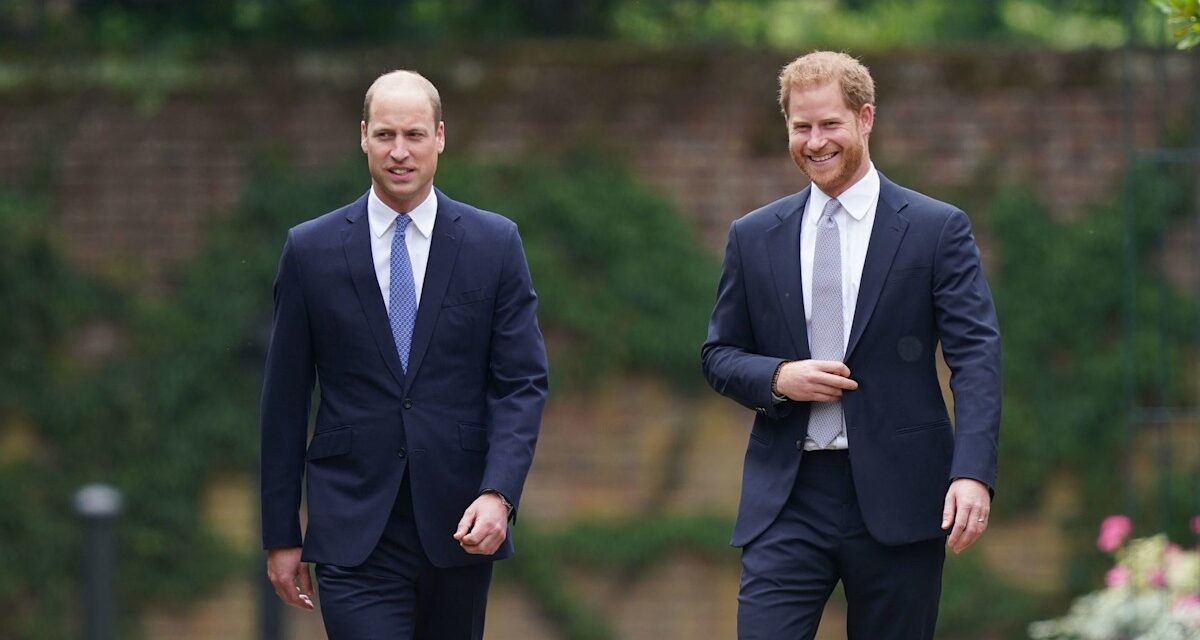 Les princes William et Harry ont-ils secrètement soumis aux vêtements de la princesse Diana? Exclusif