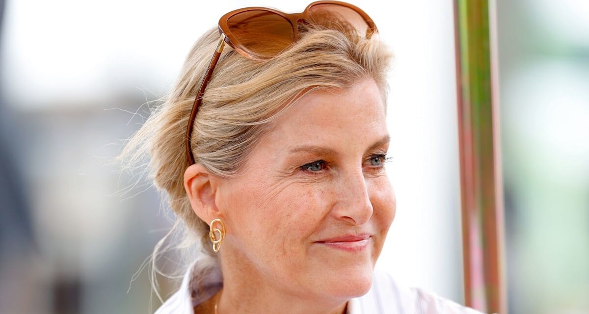 Royal Family Live: King Charles se dirige vers la côte tandis que la duchesse Sophie se dirige vers l&rsquo;étranger pour des engagements royaux