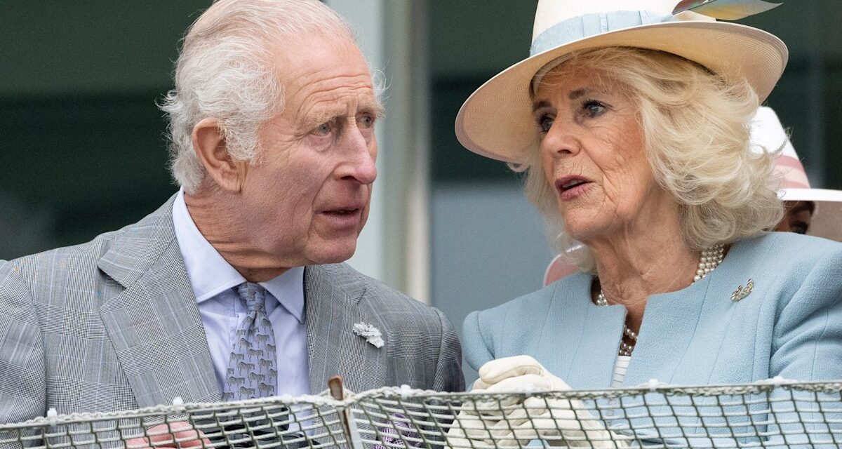 Sécurité du banquet d&rsquo;État du roi Charles – y compris la machine à rayons X pour la nourriture