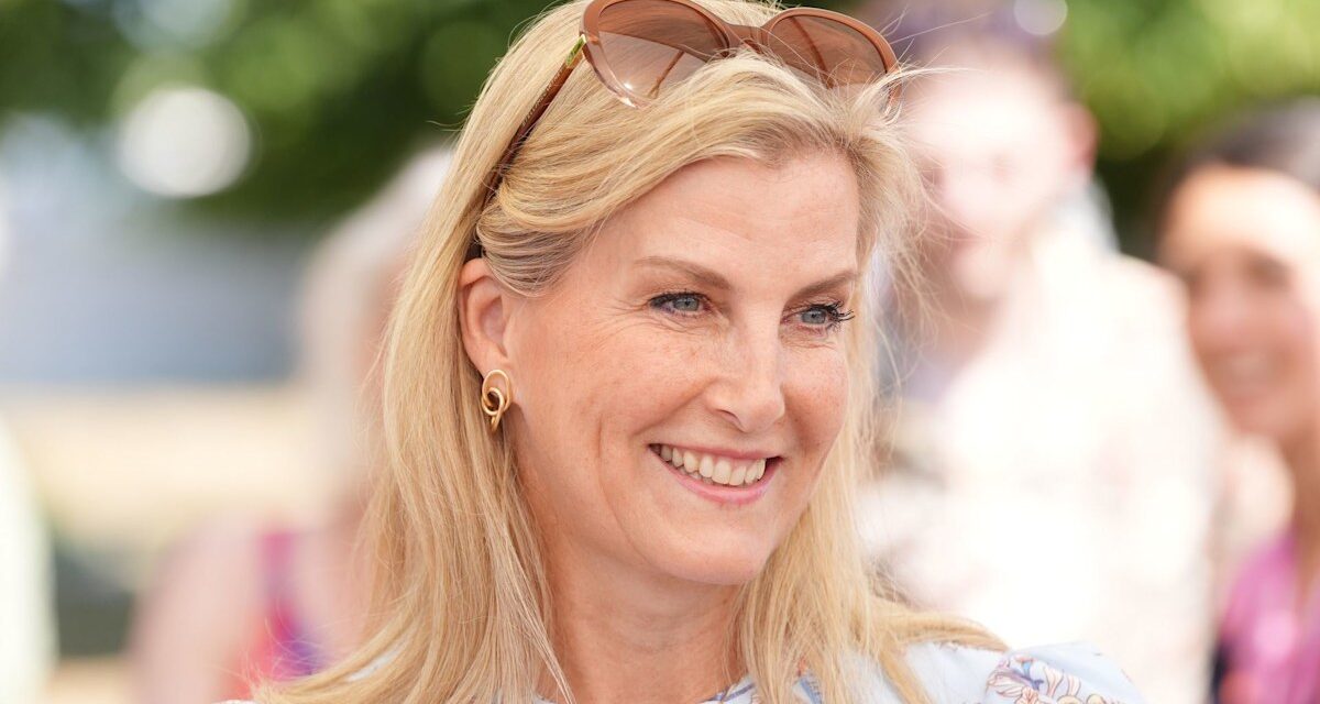 La robe Valentino « old money » de la duchesse Sophie est le look formel ultime pour les années 60