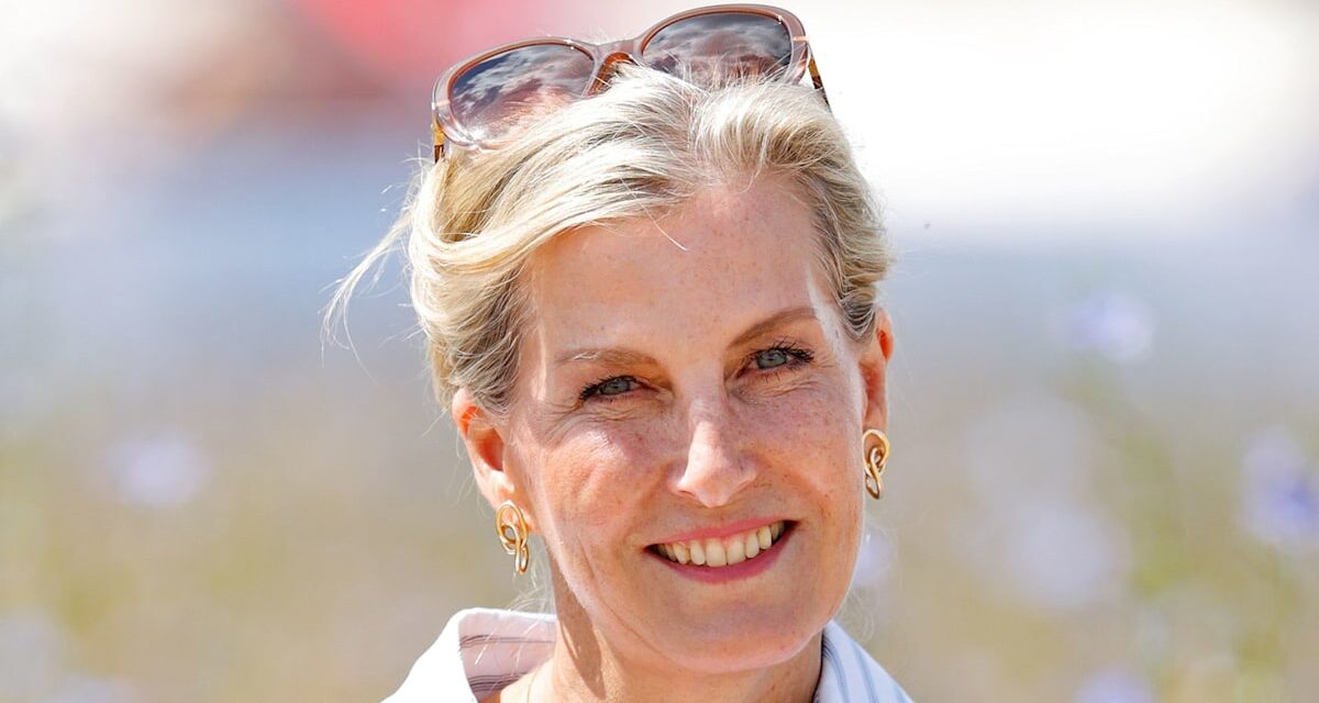 La robe de torse de la duchesse Sophie est le style des femmes dans la soixantaine