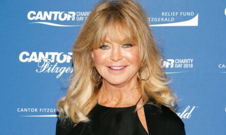 La petite-fille de Goldie Hawn est priée de se mettre sous les projecteurs sur une nouvelle vidéo