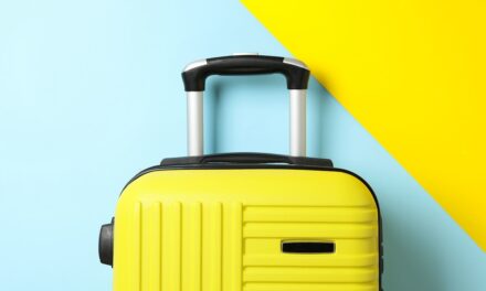 7 valises uniques dans la vente Amazon Prime Day que vous pourrez certainement repérer dans la réclamation des bagages