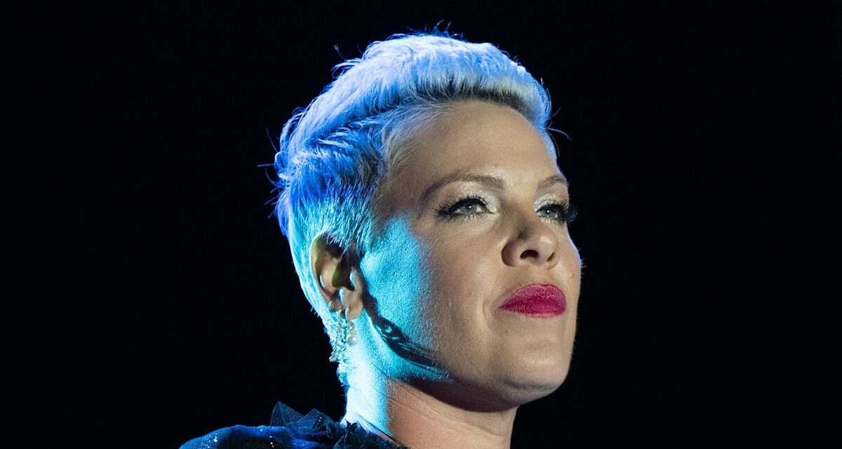 La mise à jour de la santé de Pink un an après avoir admis «je ne peux pas continuer»