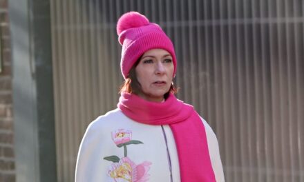 Ce spectacle CBS avec une cote de 92% pourrie des tomates est une frénésie amusante et facile avant la première de la saison 3