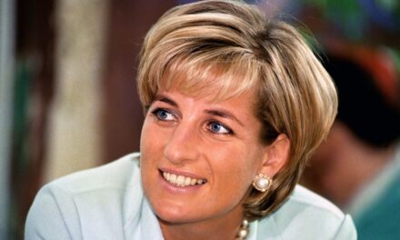 Charles Spencer laisse les fans sans voix avec une photo «  remarquable  » du sosie de la princesse Diana