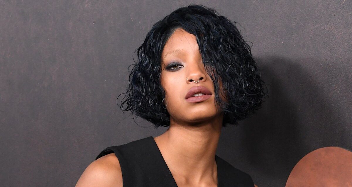 Willow Smith révèle ses nombreux piercings faciaux dans de nouveaux selfies sans filtre