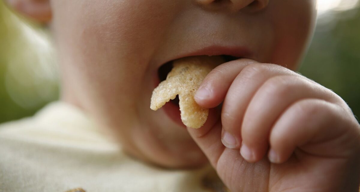 Des collations «saines» pour les enfants qui leur nuisent secrètement, selon un spécialiste de la santé intestinale