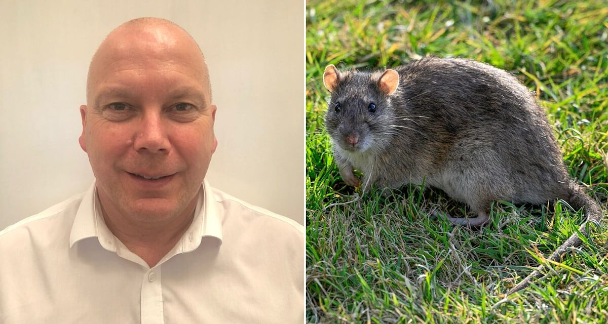 Derek Hales, expert en santé et en sécurité, révèle comment arrêter l&rsquo;infestation et les panneaux d&rsquo;infestation de rats de la taille d&rsquo;un chat et les signes d&rsquo;alerte «plusieurs» se cachent déjà