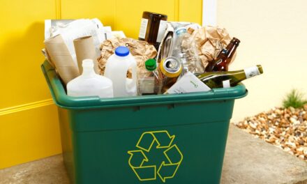 Cet article ménage commun pourrait «ruiner» votre recyclage
