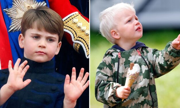Prince Louis  » Niche &lsquo;dans sa famille Il partage avec le cousin Lucas Tindall