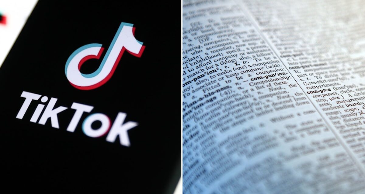 Je suis linguiste et c&rsquo;est ce que je pense des nouveaux mots «ludiques» de Cambridge Dictionary