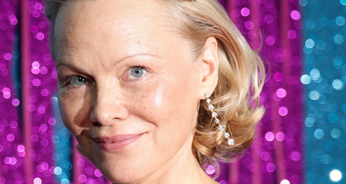 Si vous vous posez des questions sur le secret de Pamela Anderson aux lèvres embrassables, j&rsquo;ai la réponse
