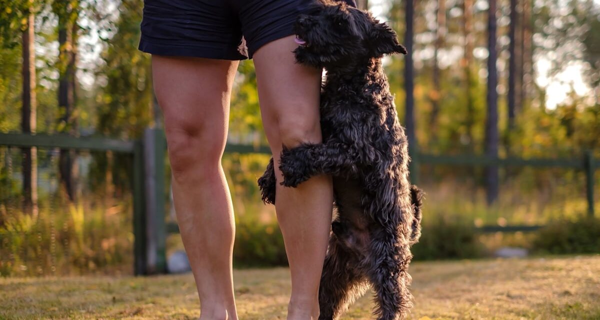 Dog Trainer explique pourquoi votre chien n&rsquo;arrête pas de bosser – même après avoir été stérilisé