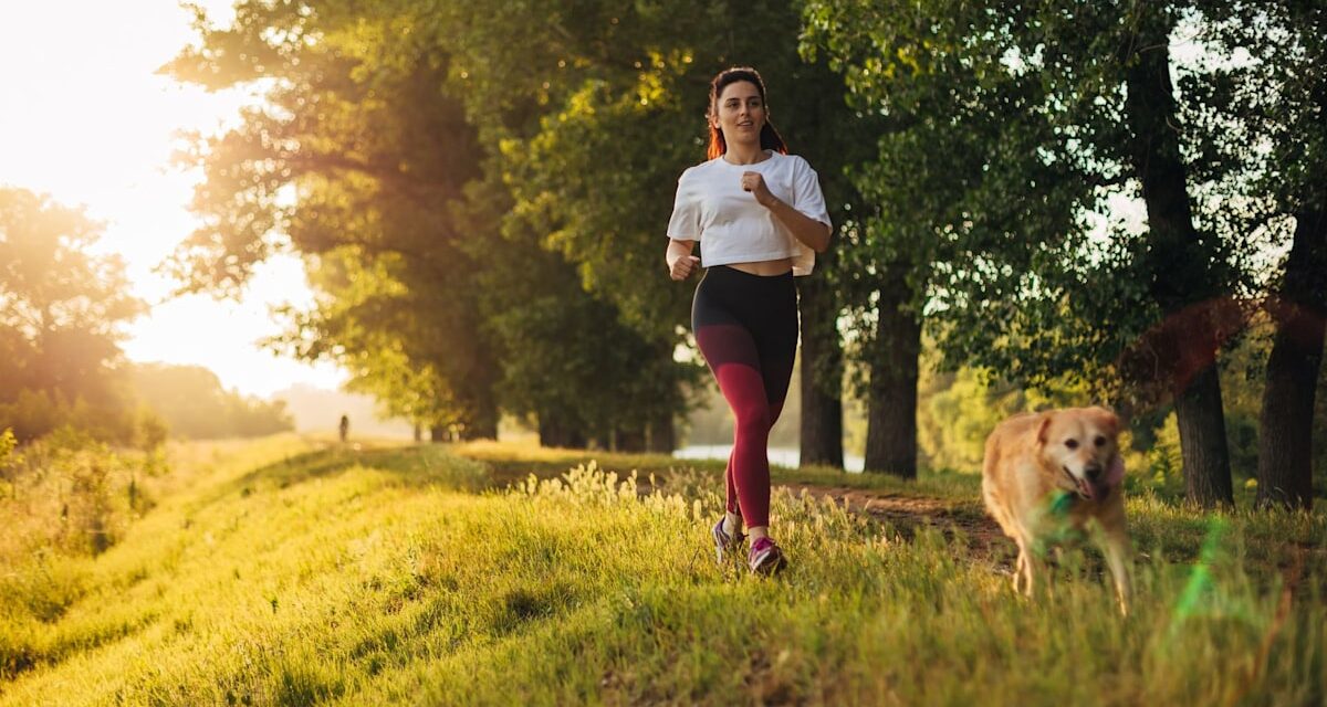 Vous cherchez un copain en cours d&rsquo;exécution? 7 races de chiens «à haute endurance» classées