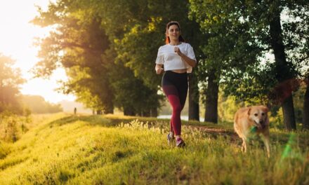 Vous cherchez un copain en cours d&rsquo;exécution? 7 races de chiens «à haute endurance» classées