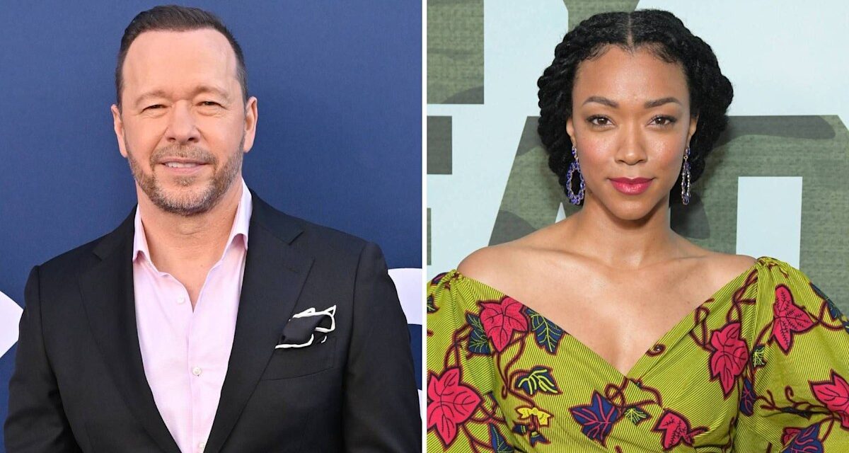 La co-star de Boston Blue de Donnie Wahlberg devient réelle pour remplacer sa famille Blue Bloods