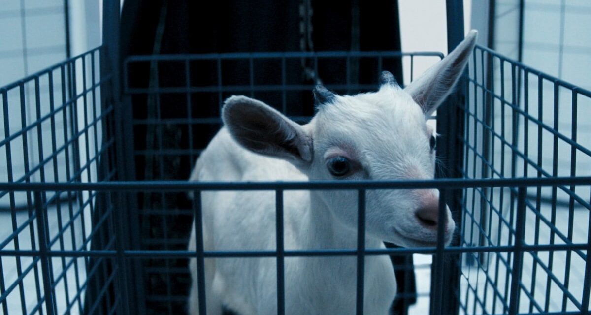 Le nom des fans «  captivant  » Apple TV + émission comme l&rsquo;une des «meilleures séries dramatiques jamais créées»