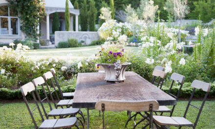 Le concepteur révèle 7 étapes simples vers un jardin à couper le souffle sur n&rsquo;importe quel budget