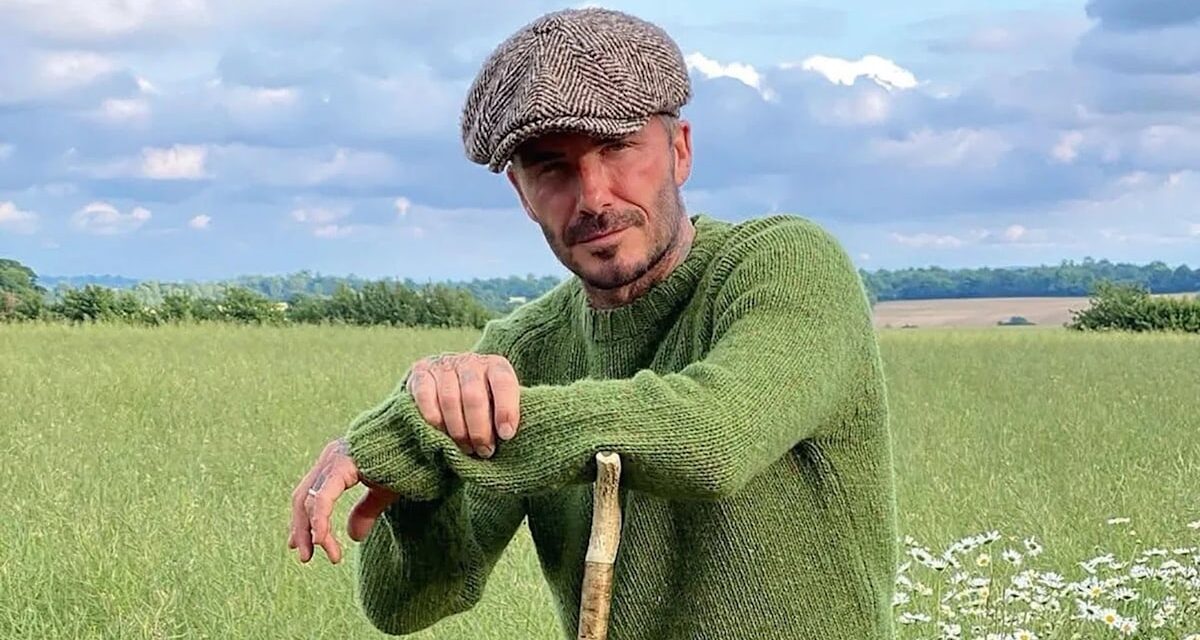 Le jardin «Good Life» de Victoria et David Beckham avec 100k Treehouse et 50K Party Tent