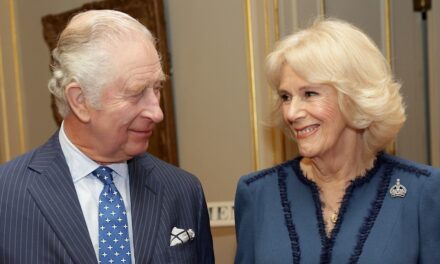 Photographie sentimentale du roi Charles montrant un seul petit-enfant exposé dans une maison privée